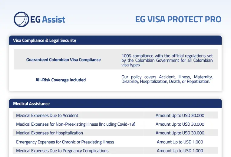 EG VISA PROTECT PRO